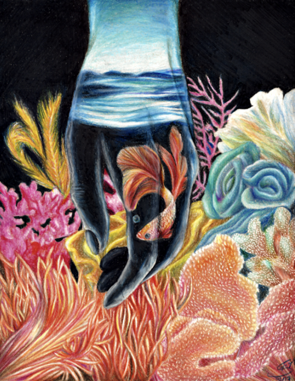 Mar de vida